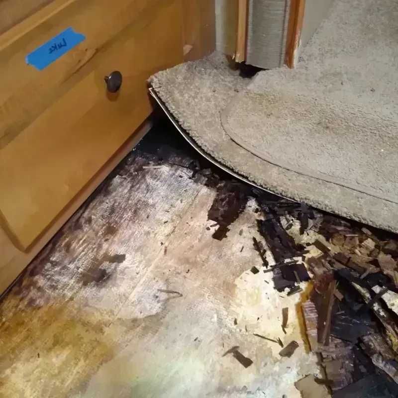 Wood Floor Water Damage in Bayou Vista, TX